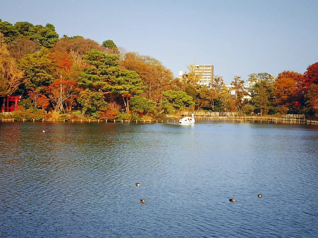 洗足池IMAGE